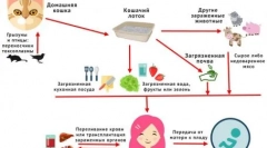 Пишување на мачка: како да препознаете и спречите